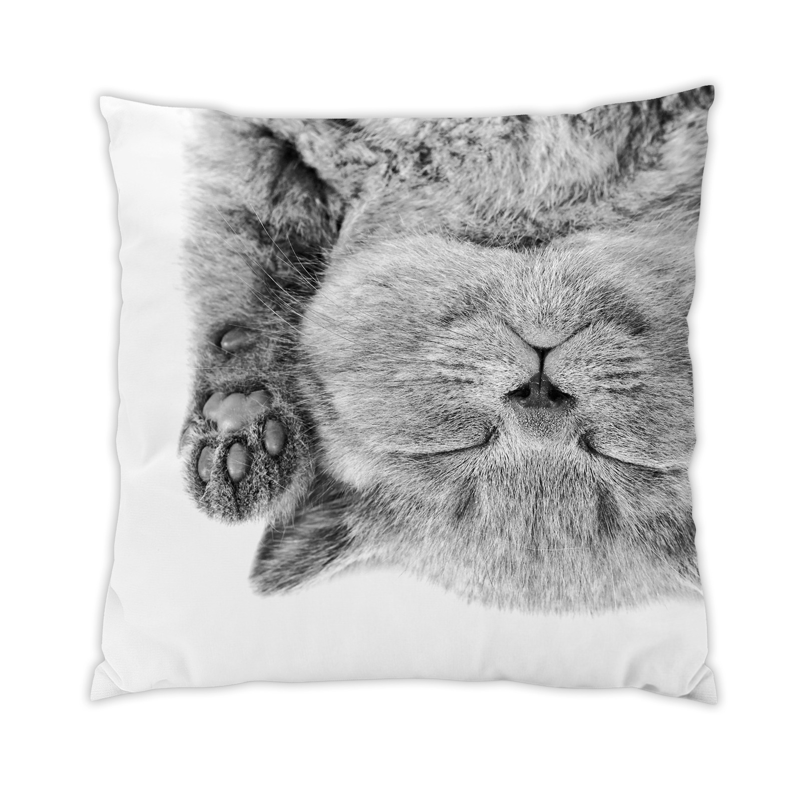 chat-1