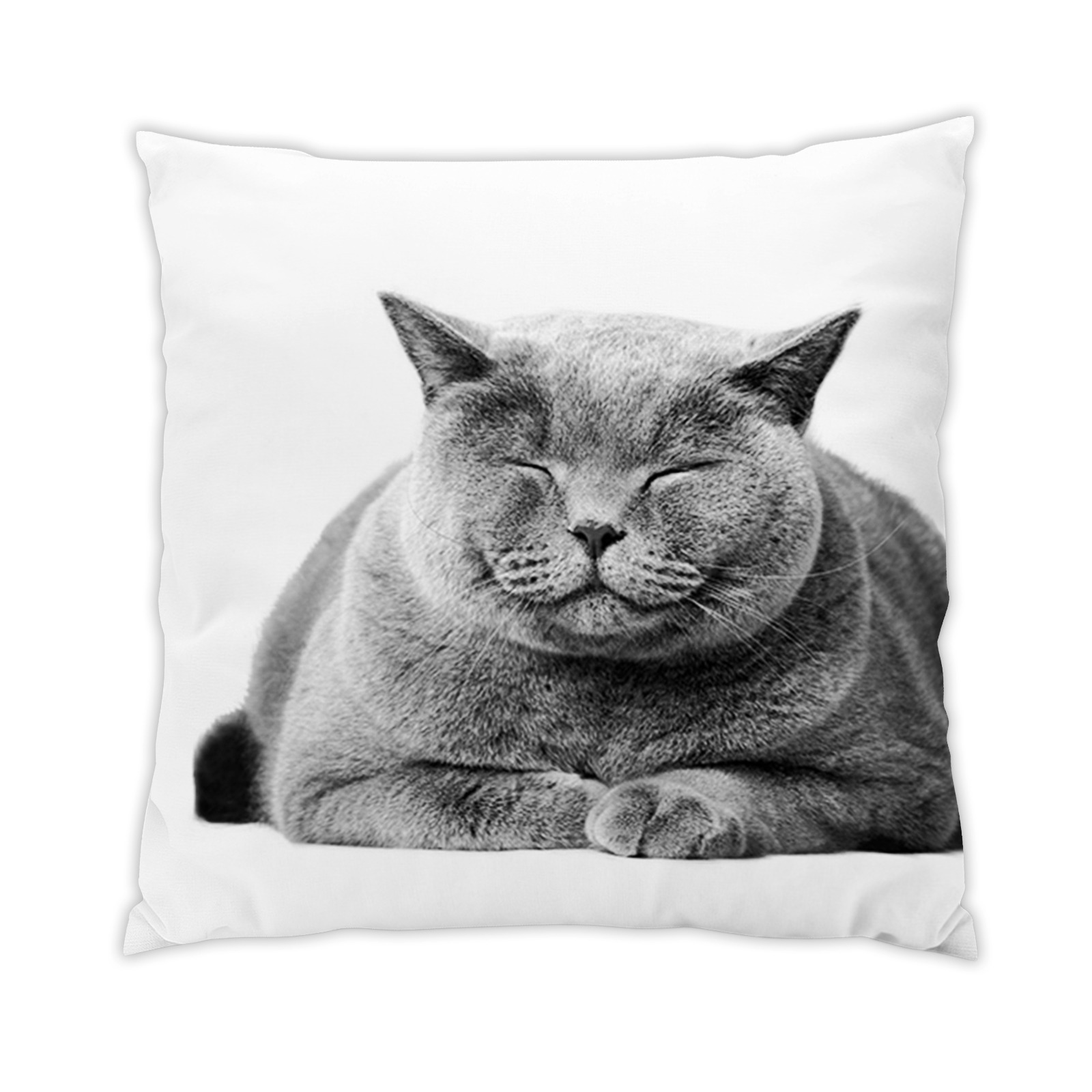 chat-2