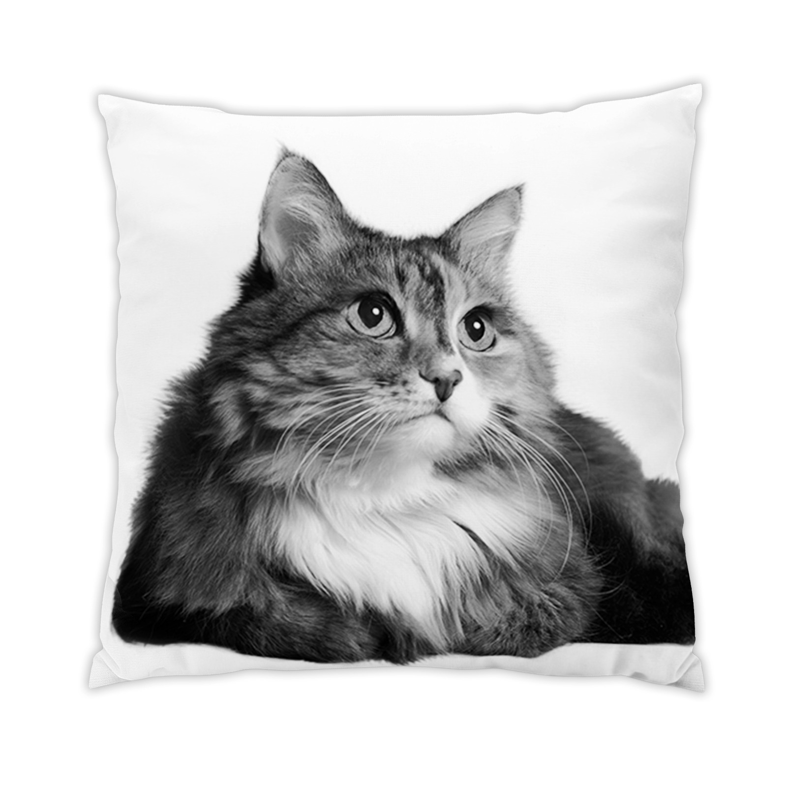 chat-3