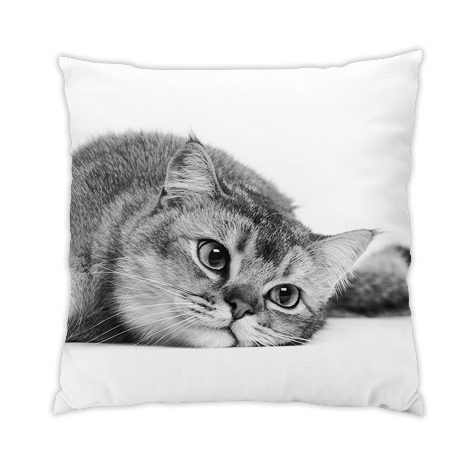chat-4