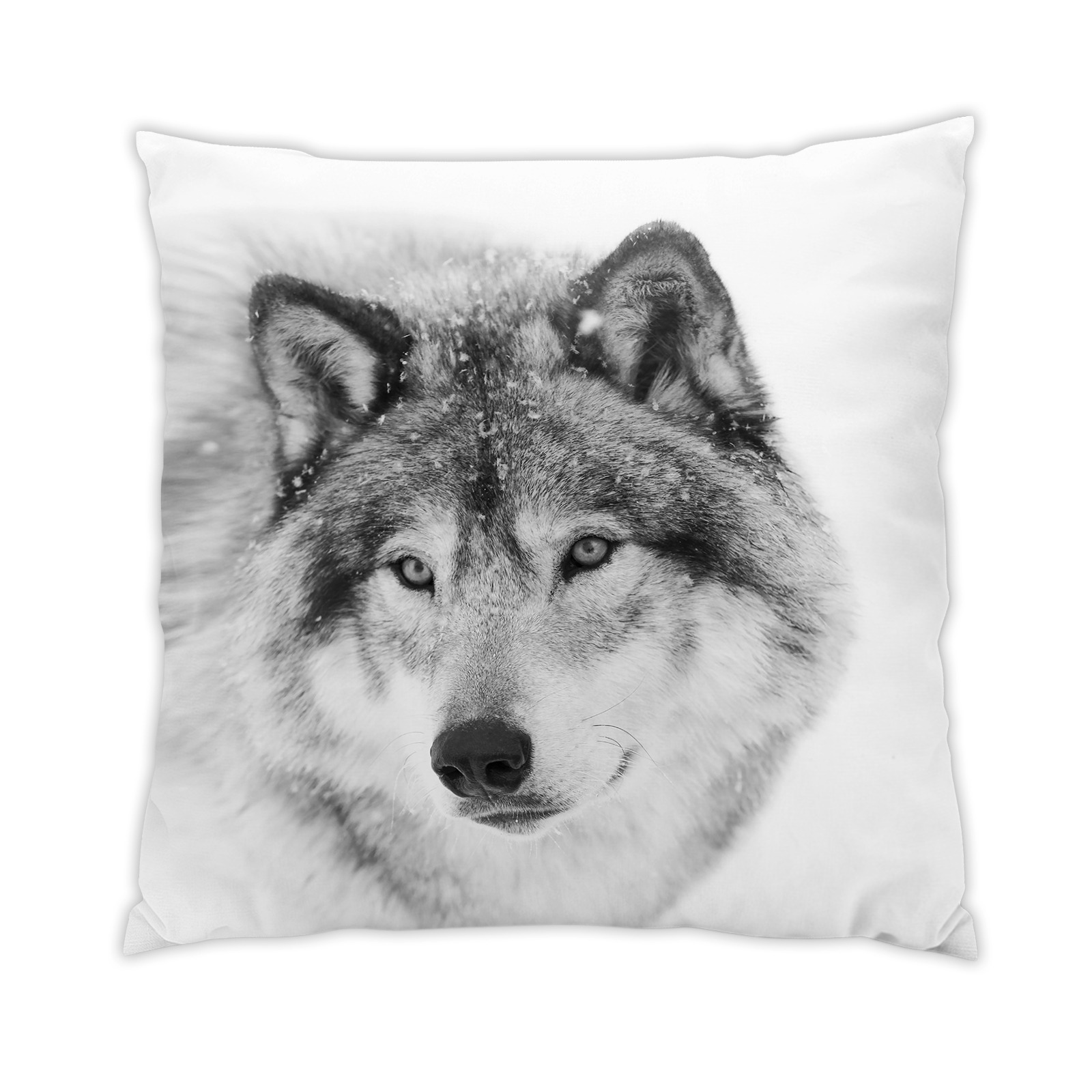 loup-2